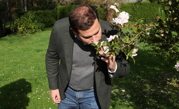 Los jardines de la Diputación en Areeiro ya forman parte de la Ruta da Camelia de Galicia