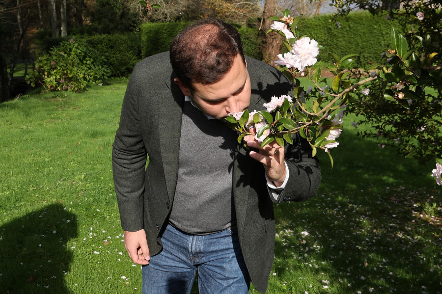 Los jardines de la Diputación en Areeiro ya forman parte de la Ruta da Camelia de Galicia