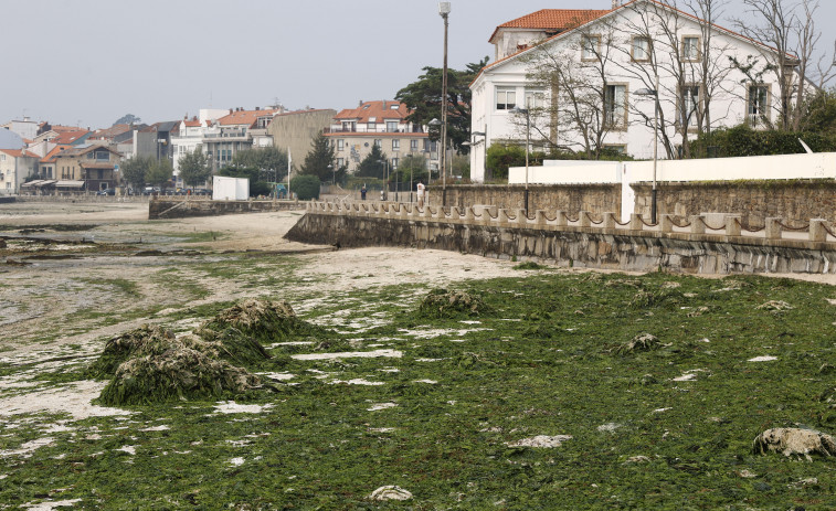 Críticas en Carril por amontonarse el estiércol procedente de los parques cerca de paseo marítimo