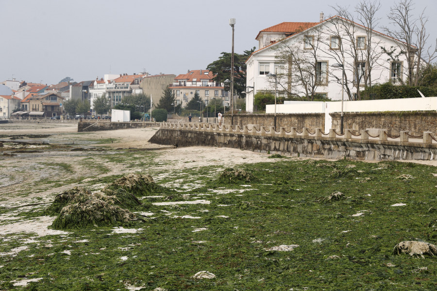 Críticas en Carril por amontonarse el estiércol procedente de los parques cerca de paseo marítimo