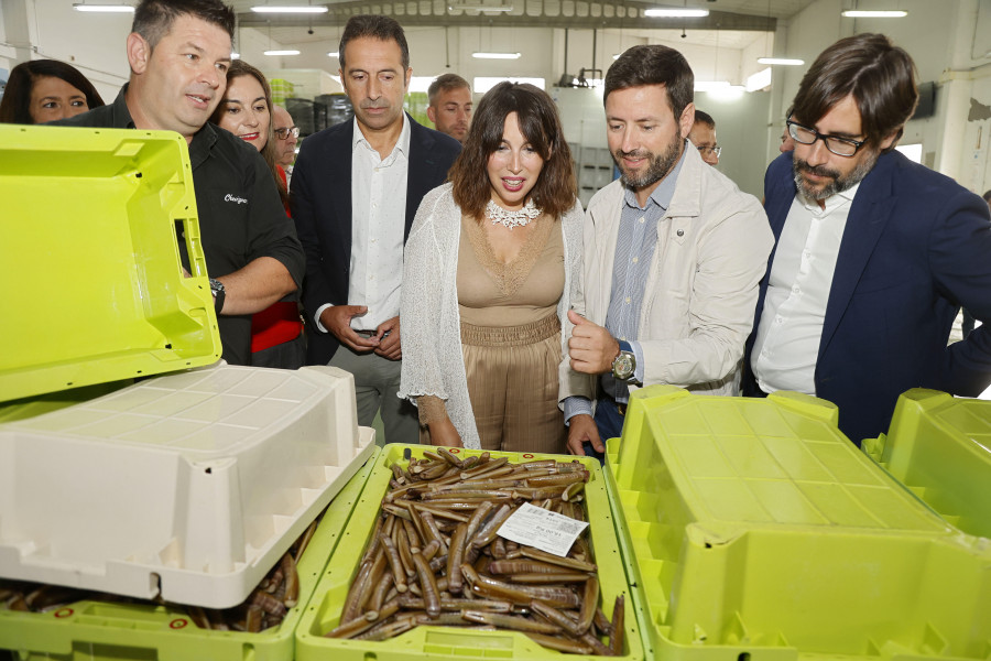 La Xunta y la empresa mixta RDG ejecutarán la mayor auditoría energética de la historia de Galicia