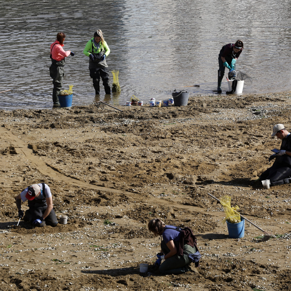 Decepción y abandono: Así se sienten las cofradías y el marisqueo a pie de la provincia de Pontevedra