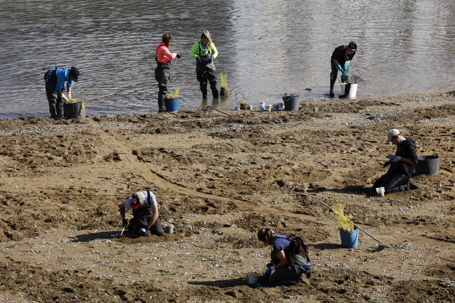 Decepción y abandono: Así se sienten las cofradías y el marisqueo a pie de la provincia de Pontevedra