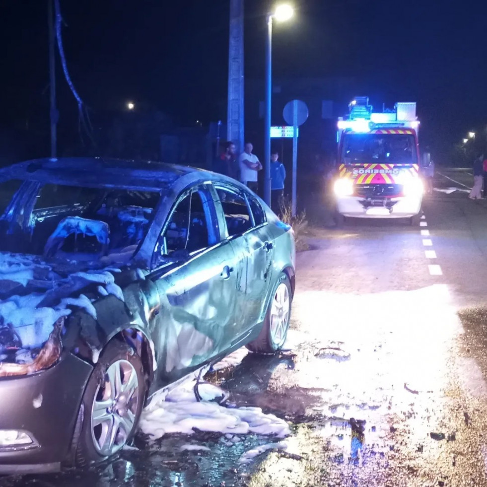 Choca contra un árbol al tratar de esquivar un perro y el coche acaba en llamas