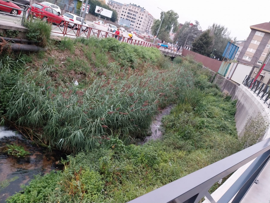 La asociación Fonte da Coca pide la limpieza de "la selva" en un tramo del río de O Con