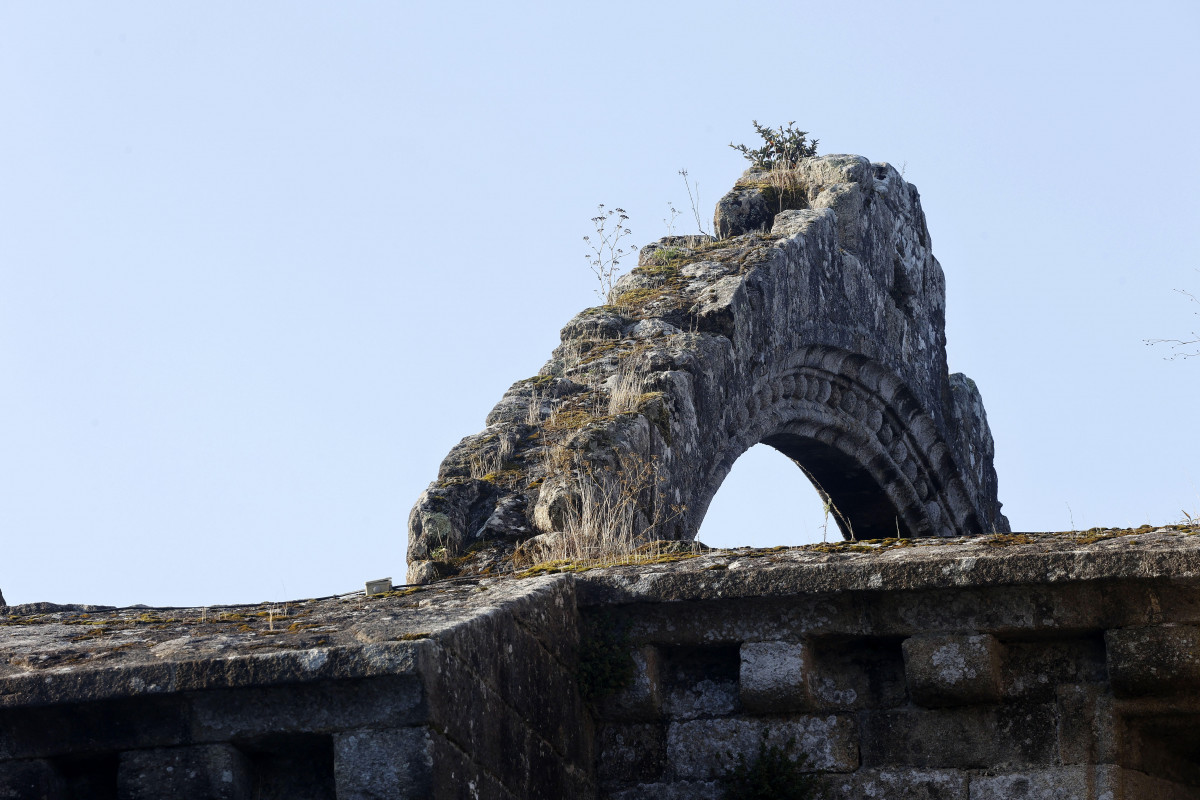 Ruinas santa mariña vegetación