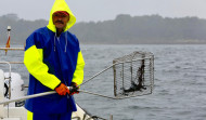 El libre marisqueo constata que el recurso en Os Lombos está agotado