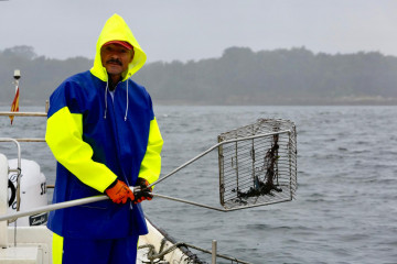 Os lombos libre marisqueo