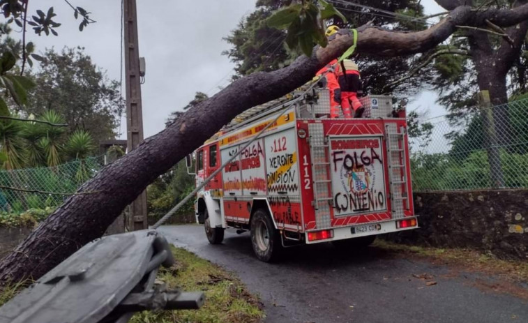 Los Bomberos de Boiro retiraron sendos árboles caídos en pistas municipales de Sestelo y Tronco, en Rianxo