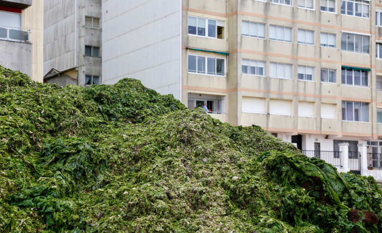 Sin abrir las ventanas por el olor a algas podridas: Indignación entre los vecinos de A Compostela