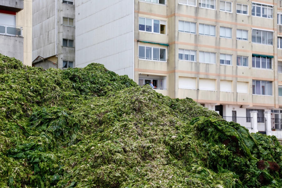 Sin abrir las ventanas por el olor a algas podridas: Indignación entre los vecinos de A Compostela