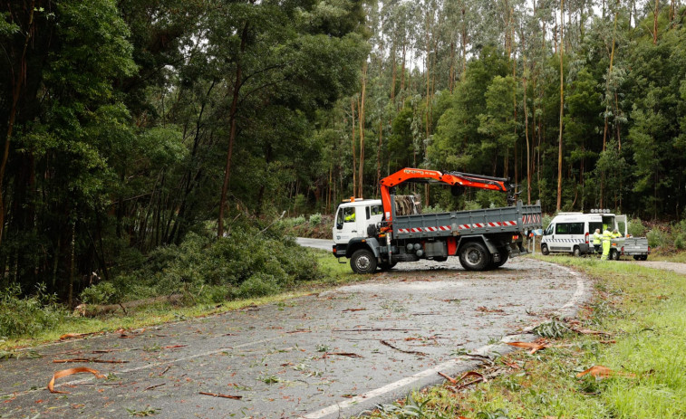 Viales cortados por árboles, problemas de luz e inundaciones: El rostro más común del temporal en O Salnés