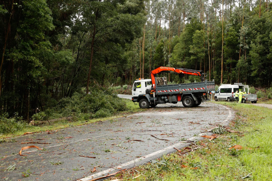 Viales cortados por árboles, problemas de luz e inundaciones: El rostro más común del temporal en O Salnés