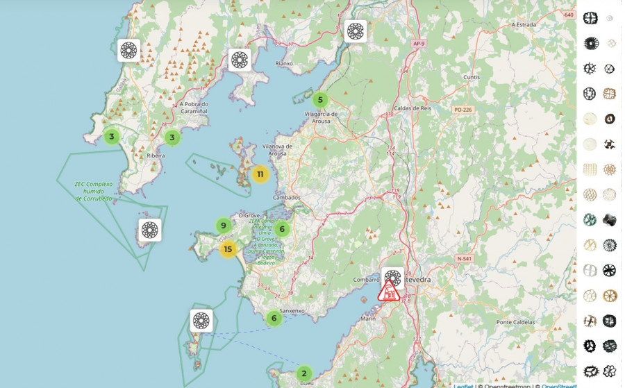 La nueva contaminación plástica golpea a la Ría de Arousa: 60 avisos por miles de biosoportes