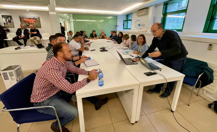 Os Lombos do Ulla cierra por falta de marisco y Cabío y O Bohído abrirán de lunes a jueves