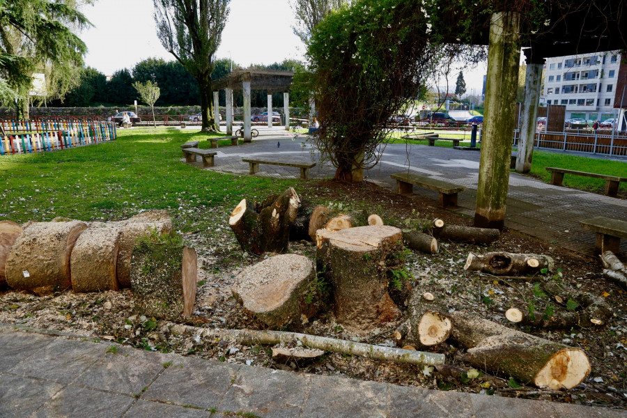 Vilagarcía tala varios árboles del parque Celso Emilio Ferreiro ante el deterioro de los ejemplares