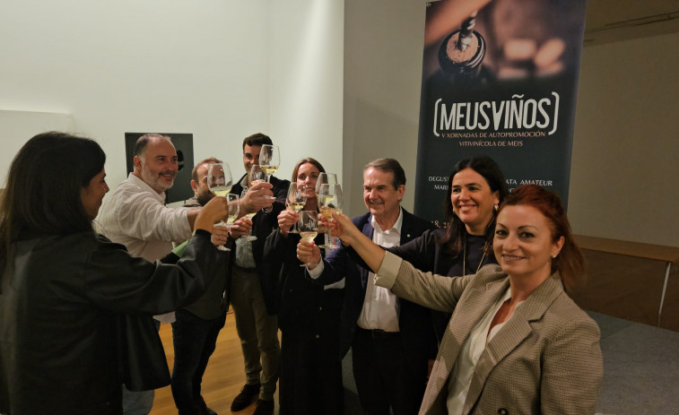 Meis presenta en Vigo las quintas jornadas de Meus Viños