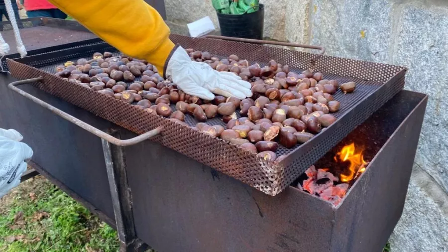 Más de 200 kilos de castañas para celebrar el Magosto en Caldas desde la Praza José Sesto Casal