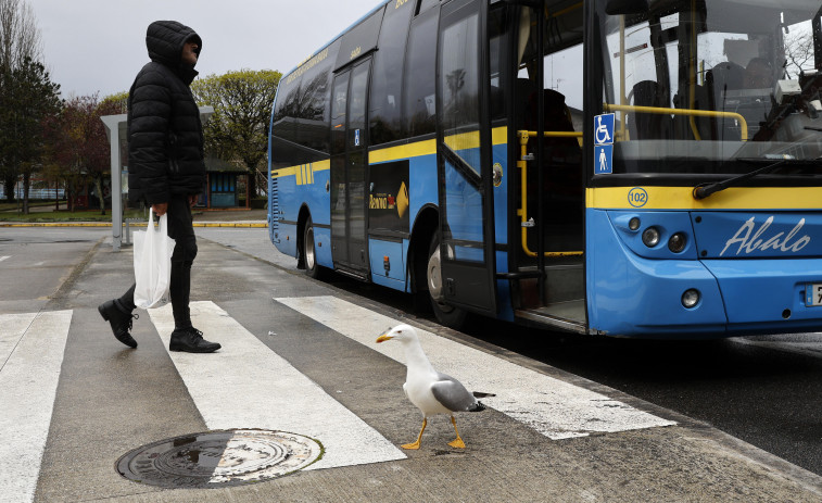 La Xunta mejorará la accesibilidad de 14 paradas de bus en Vilagarcía, Vilanova, Catoira y Moraña