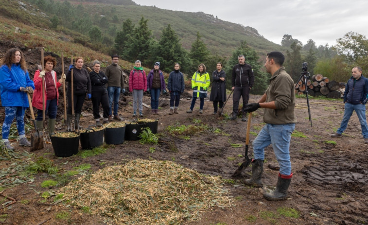 Representantes de varias comunidades de montes de Rianxo se hacen expertos en agrocompostaje