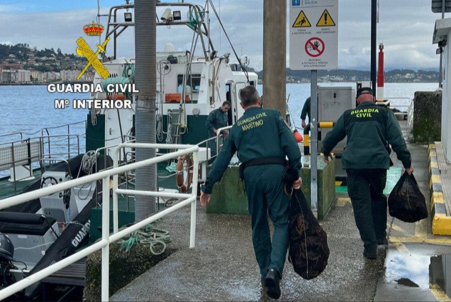 La Guardia Civil incauta 80 kilos de marisco procedentes de la pesca furtiva en Sanxenxo