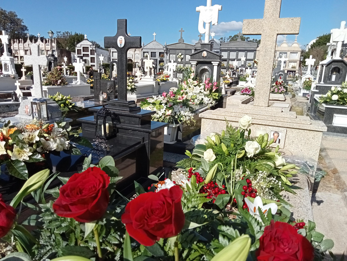 CEMENTERIO PALMEIRA2