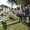 Casa cambados terror halloween samaín cementerio vecinos