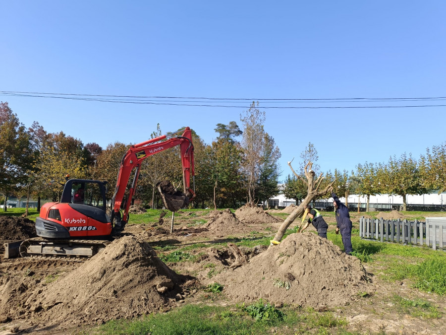 El Concello de Sanxenxo inicia las obras para acondicionar los jardines anexos al skate park en Baltar