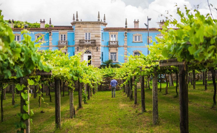 Granbazán es la única bodega gallega que entra en una selecta lista de los mejores viñedos del mundo