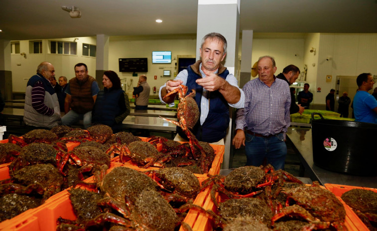 ¿Qué restaurantes participan en la Festa da Centola de O Grove?