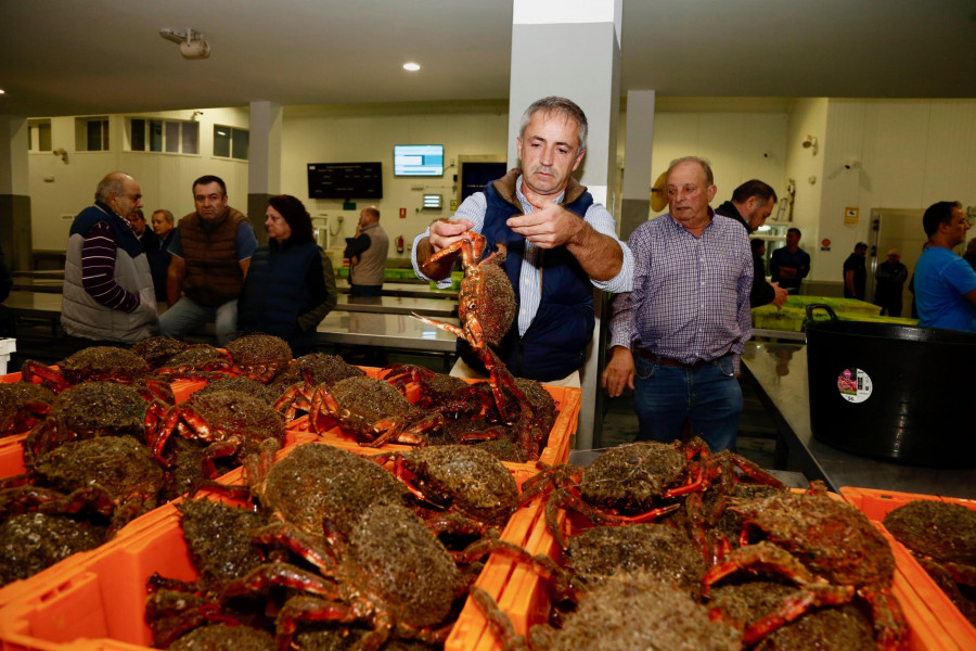 ¿Qué restaurantes participan en la Festa da Centola de O Grove?