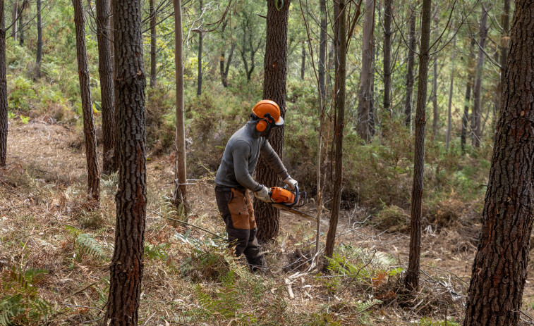 Desarrollan en Rianxo una gestión conjunta de los montes para reducir el riesgo de incendios forestales