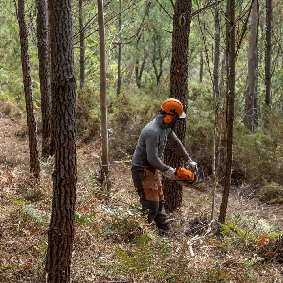 Desarrollan en Rianxo una gestión conjunta de los montes para reducir el riesgo de incendios forestales