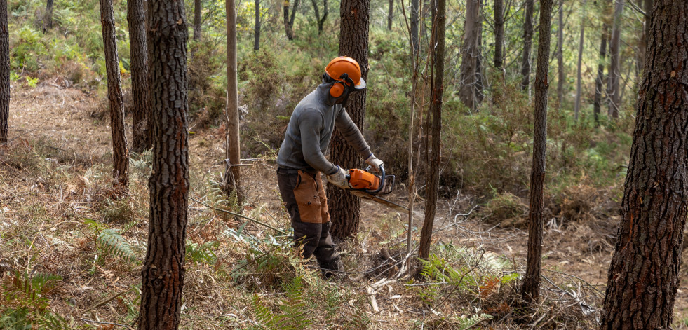 Desarrollan en Rianxo una gestión conjunta de los montes para reducir el riesgo de incendios forestales