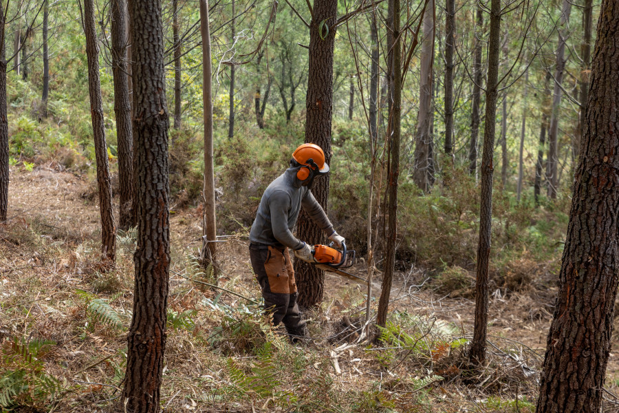 Desarrollan en Rianxo una gestión conjunta de los montes para reducir el riesgo de incendios forestales