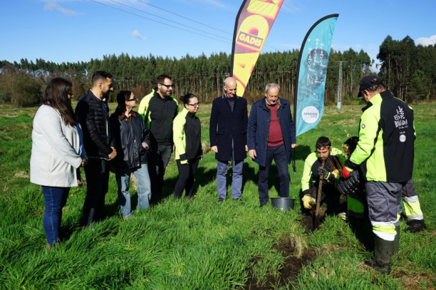 Gadis y Amicos reforestan un bosque con 300 árboles autóctonos