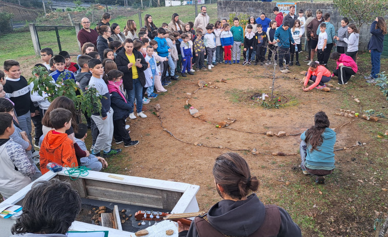 El colegio Pilar Maestú verá regenerado su patio de juegos con una plantación de especies botánicas