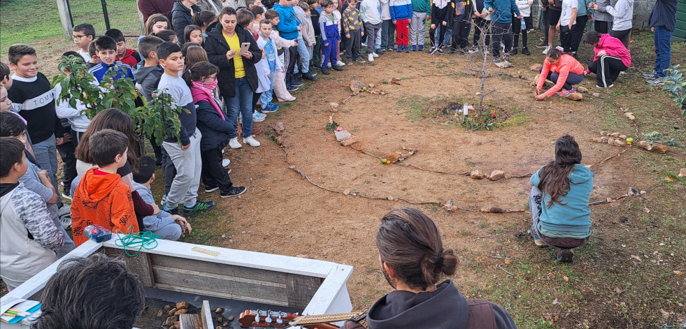 El colegio Pilar Maestú verá regenerado su patio de juegos con una plantación de especies botánicas