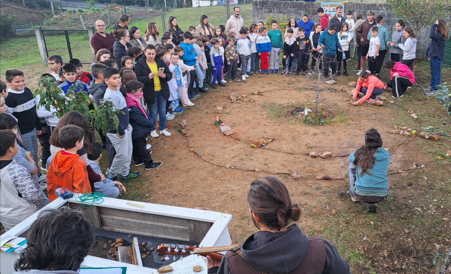 El colegio Pilar Maestú verá regenerado su patio de juegos con una plantación de especies botánicas