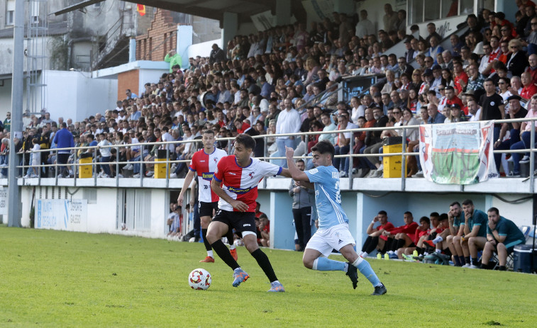 Rodillo arlequinado en el derbi