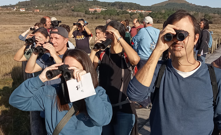 Medio centenar de asistentes a un curso sobre aves conoce 24 especies en el parque natural de Corrubedo