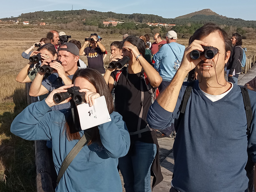 Medio centenar de asistentes a un curso sobre aves conoce 24 especies en el parque natural de Corrubedo