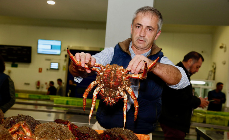 La Festa da Centola llena los restaurantes y multiplica las reservas en los hoteles de O Grove