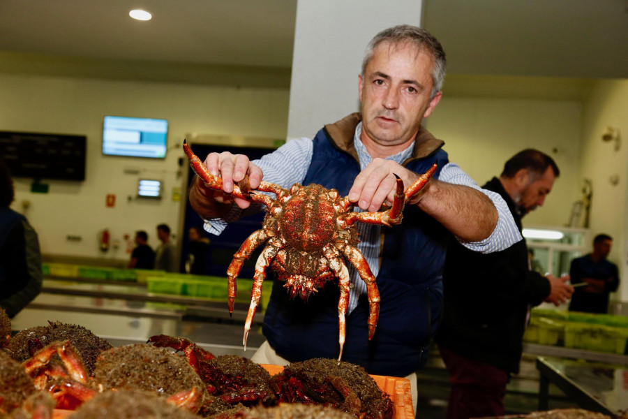 La Festa da Centola llena los restaurantes y multiplica las reservas en los hoteles de O Grove