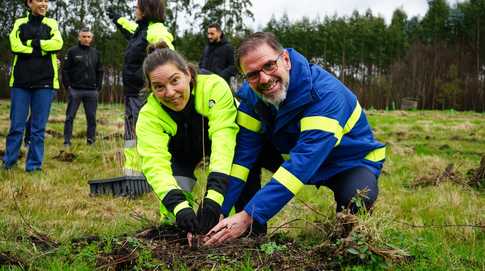 Las Ecobrigadas de Amicos reforestaron con 450 fresnos una parcela de terreno en Curtis