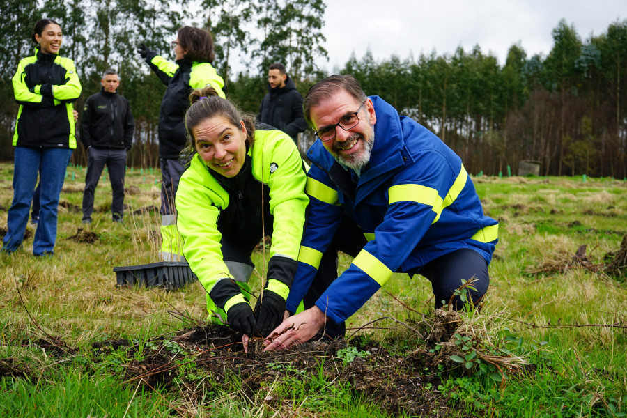 Las Ecobrigadas de Amicos reforestaron con 450 fresnos una parcela de terreno en Curtis