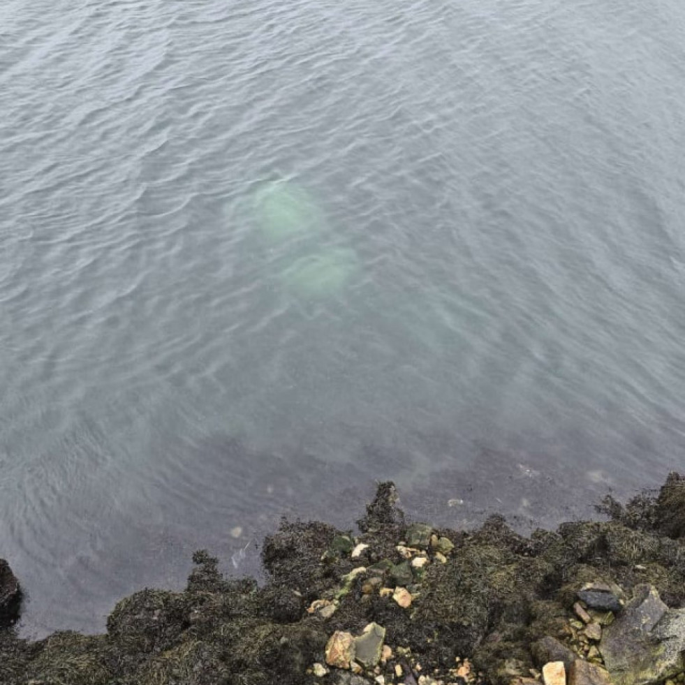 Un vehículo cae a la ría tras salirse de la calzada en As Pías