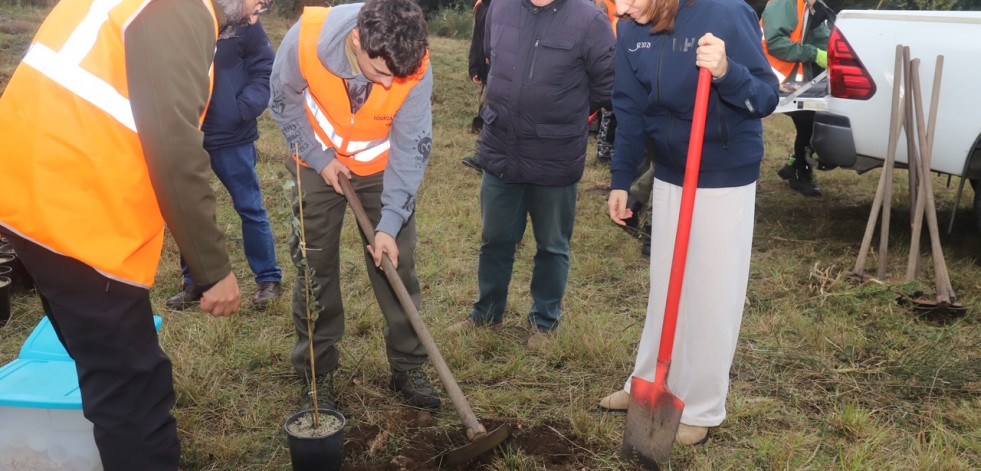 Reportaje | Trumiáns empieza a reverdecer con lo autóctono