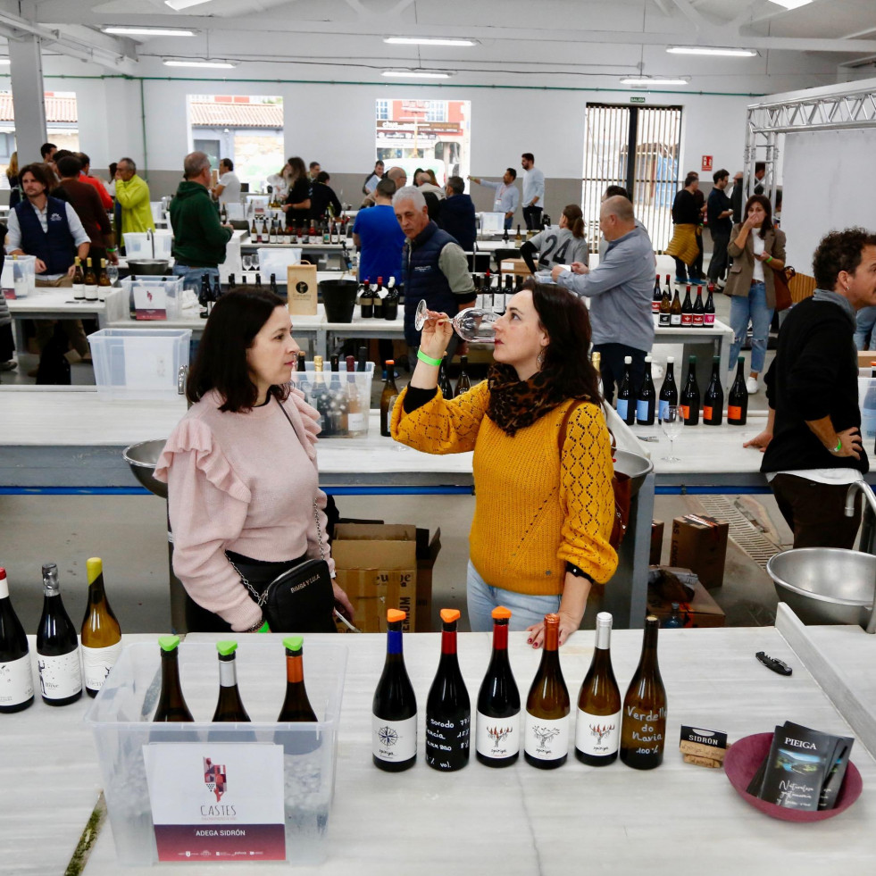 Pasión por el mejor vino en todos los matices de la mano de Castes en Vilagarcía