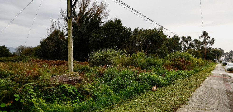 Retiran un lote de fincas de la subasta de bienes de Marcial Dorado a petición de A Illa